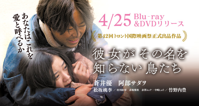映画「彼女がその名を知らない鳥たち」4.25（水）Blu-ray＆DVD Release