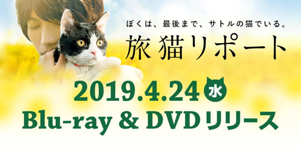 BDu0026DVD｜映画『旅猫リポート』公式サイト