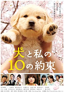 犬と私の10の約束